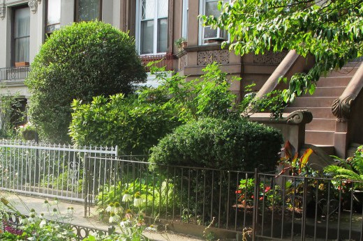 a city block with a stoop, greenery, and trees